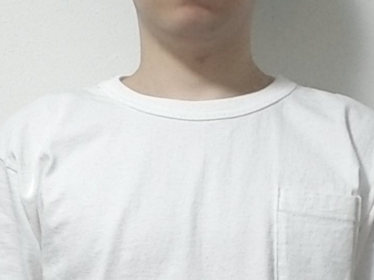 ChampionのT1011半袖Tシャツ
